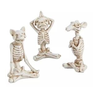 Holiday Lane Yoga Skeleton Dog Cat Rat